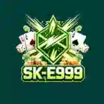 SK E999 Game
